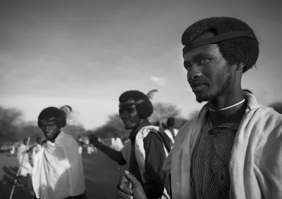 Investigation reveals evidence on how Ethiopian security forces killed members of Karrayyuu Gadaa Leadership.