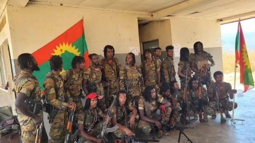 Armed group in Oromia says Ethiopian peace overtures not sincere