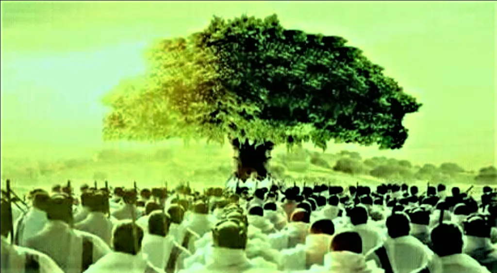 Veteran Oromo politician warns against glorifying individual leaders