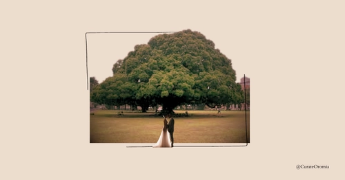 Protocols Of A Traditional Oromo Marriage Proposal 