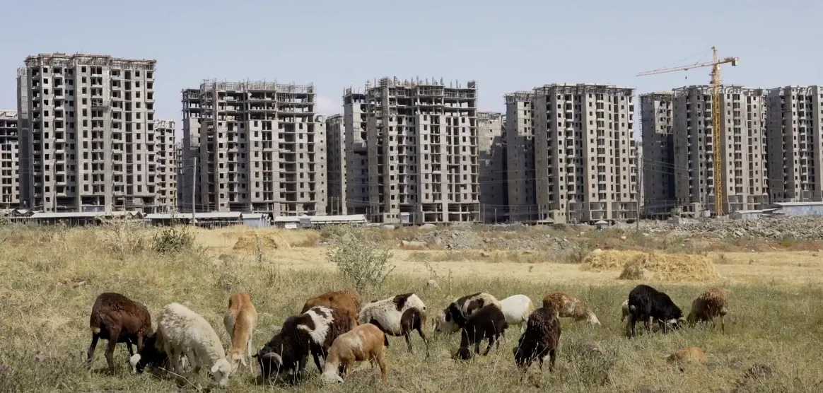 Shaggar City: A New Label on an Old Scar