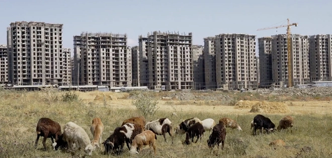 Shaggar City: A New Label on an Old Scar