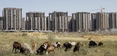 Shaggar City: A New Label on an Old Scar