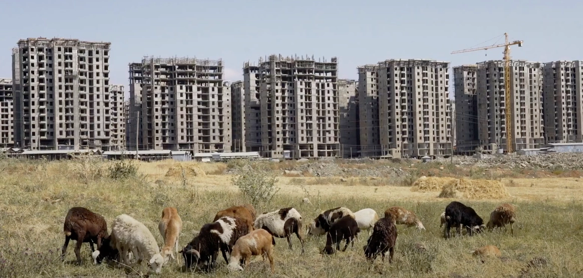 Shaggar City: A New Label on an Old Scar