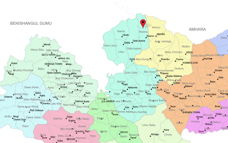 Amid heinous attacks, Oromos in Wallaga call for help 