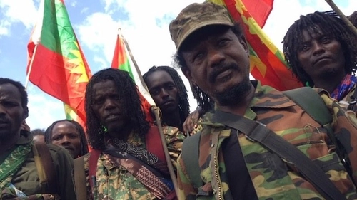 Transitional Government proposal divided OLA and Ethiopian government in the Tanzania talks