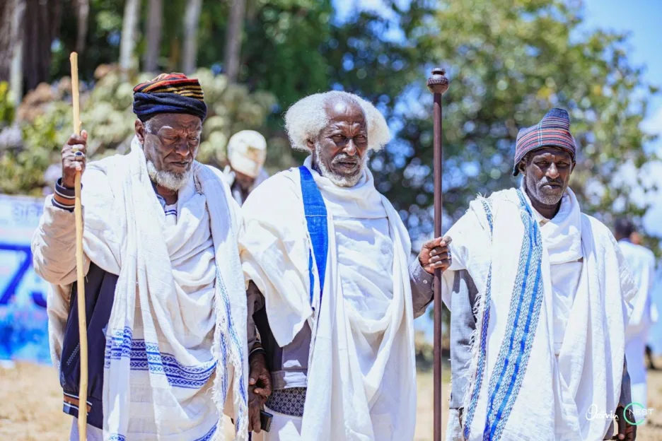 Guji Oromo elders, dressed in traditional attire, holding Hororo, at the power transfer ceremony in Me'ee Bokkoo, Southern Oromia, on February 21, 2024. Source: Oromia Culture and Tourism  Bureau.