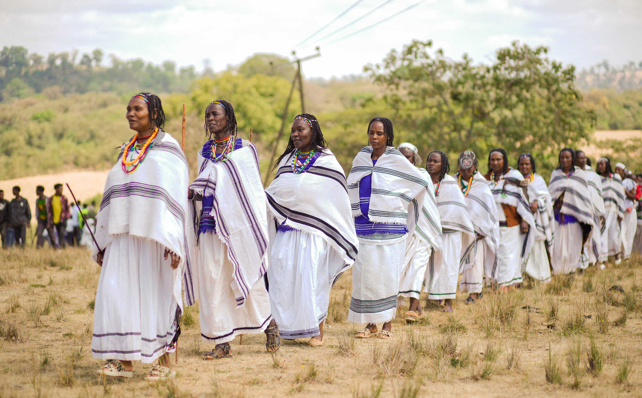 Guji Oromo women, dressed in traditional attire, holding Siiqqee (a ritual stick for women) at the power transfer ceremony in Me’ee Bokkoo, Southern Oromia, on February 21, 2024. Source: Oromia Culture and Tourism Bureau.