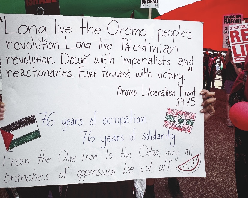 Student rally at Harvard University to condemn the ongoing genocide in Gaza. Courtesy of Kunali Temesgen.