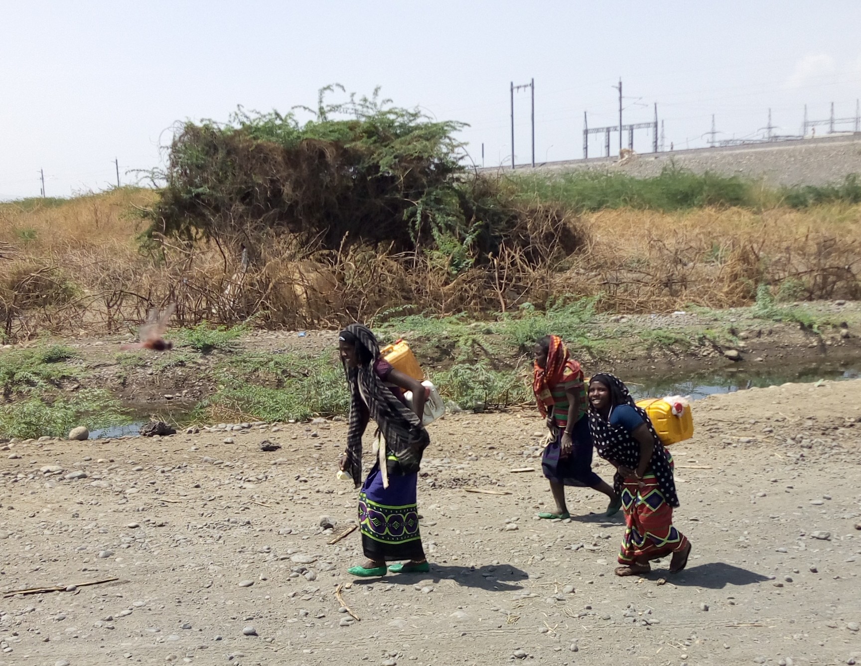 Women carrying jerry cans full of water walk along the roadside in Afar, Ethiopia (2019). Photo: Lidiya Zelke via Wikimedia Commons.